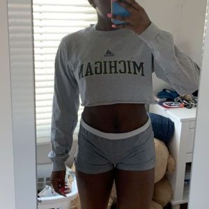 Adidas University of Michigan Crop Top